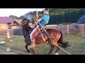 Обучение лошади Алтай