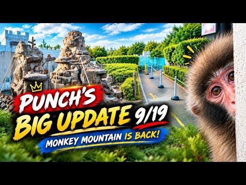 Punch's Big Update 9/19: Punch & The New Rule At Ichikawa Monkey Mountain - Monkey Mountain Is Back!