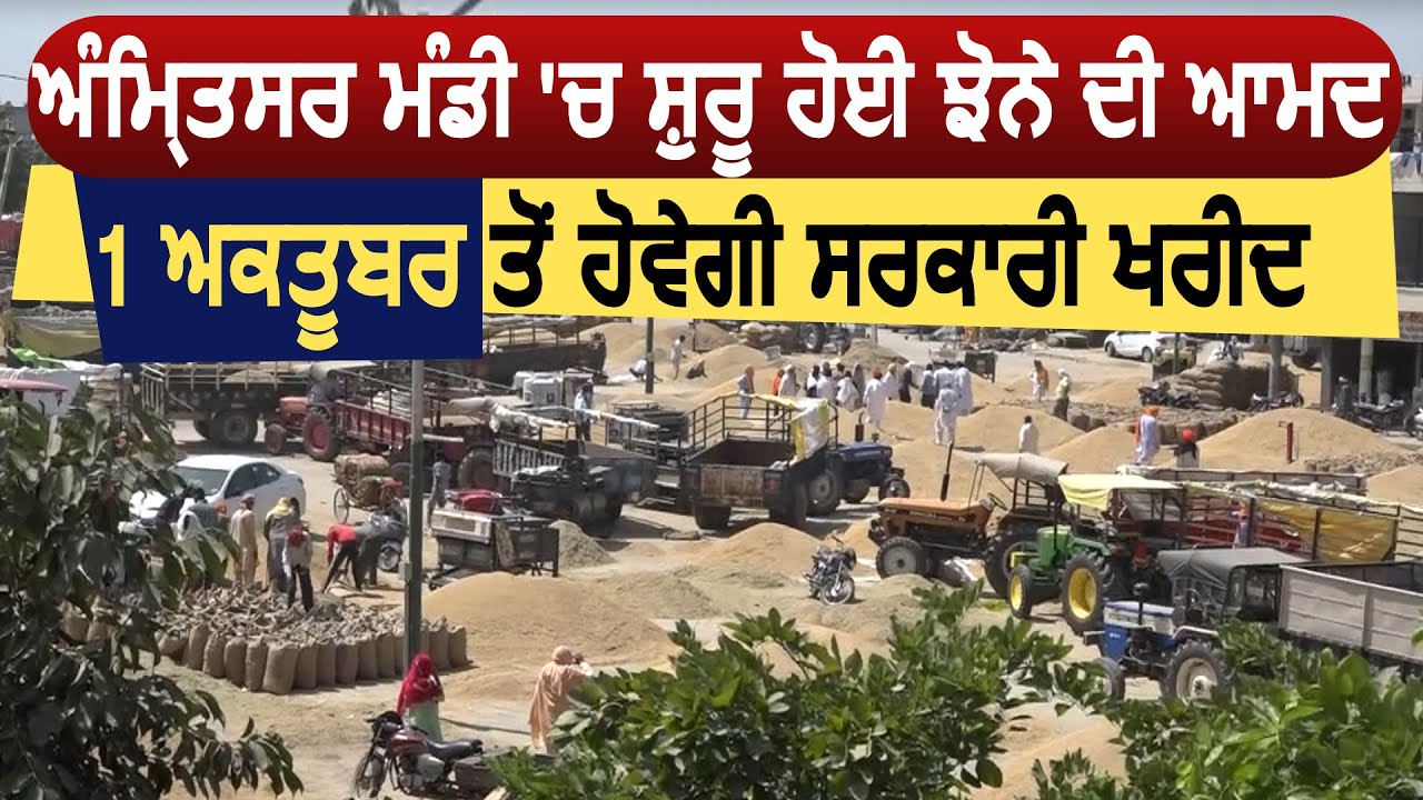 Amritsar की मंडी में Paddy की फसल लेकर पहुंच रहे किसान, सरकारी खरीद का इंतज़ार