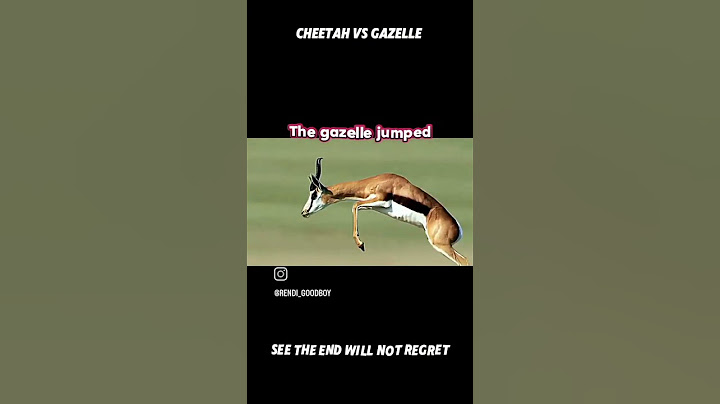 MON ROCKED 🗿🗿 CHETTA SHOCKED 🥶🥶 #itsfact #real #mon #rocket #chetta #shocked #reaction
