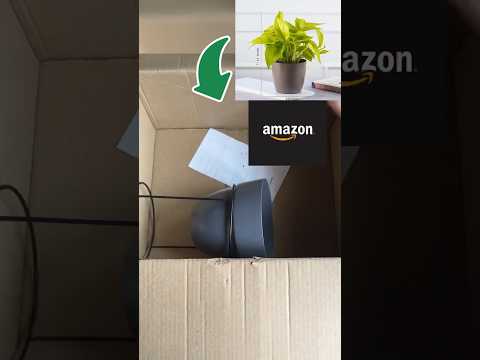 #flower pot stand