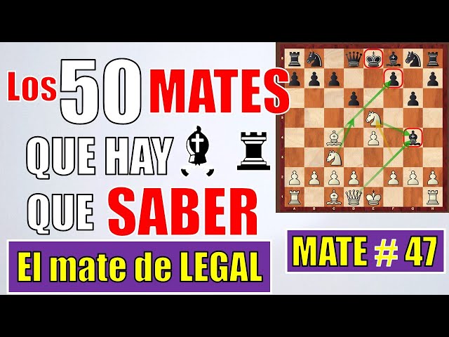 HACIENDO UN RECORRIDO POR LOS MATES MÁS FAMOSOS: MATE LEGAL Y MATE