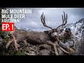 Big mountain mule deer  ep 1  the cagey cliff buck   gritty 4k film