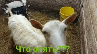 :     !
