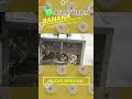 GELGOOG Banana/Plantain Flour Production Machine @gelgoog.com