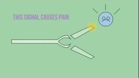 Notes: How to rewire your brain, neuroplasticity, habits and synapsis