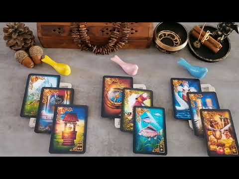 فال شراره حس و نظرهمین الانش در مورد تو