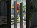 Cặp Bose cột 55wer