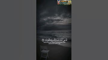أمن يهديكم في ظلمات البر والبحر ومن يرسل الرياح بشرا سورة النمل فضيلة الشيخ ياسر الدوسري
