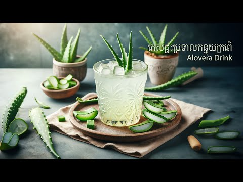 Cook Alovera Drink វិធីធ្វើភេសជ្ជះប្រទាលកន្ទុយក្រពើរ ងាយៗអាចធ្វើពិសារបានដោយខ្លួន