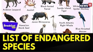National Endangered Species Day 2024: Here's The List Of 10 Endangered Species | The Breakfast Club