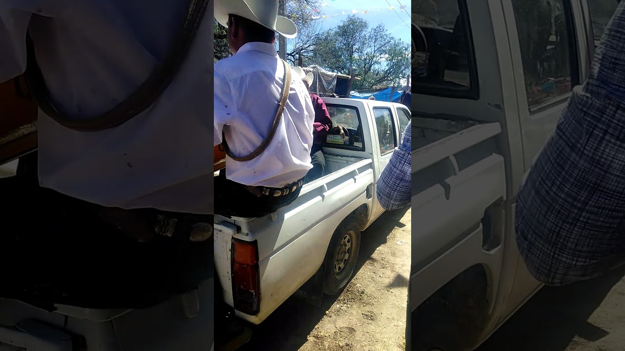El día 12 en ameca la nueva