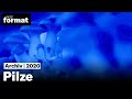 Pilze: die heimlichen Herrscher der Welt | Ausschnitt aus einer Dokumentation von NZZ Format
