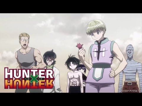 Stuart 🎋 on X: Hunter x Hunter sola!  / X