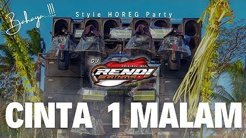 DJ HOREG PARTY || DJ CINTA SATU MALAM STYLE PARTY BASS HOREG TERBARU