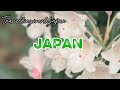 Wonder of Japan 🇯🇵 | Breathtaking Culture, Nature & Hidden Gems!