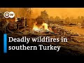 Three dead as wildfires blaze in southern Turkey | DW News