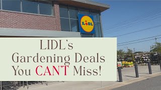 Lidl's Gardening Deals You CAN’T Miss! 🌱