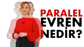 Paralel Evrenler Mümkün Olabilir Mi?