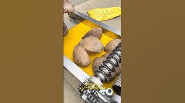 Coconut Brown Skin Grater Machine Coconut Husk Shredder Remover