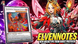 Celebrity Deck Elfnote | MDPRO3 | Replays  & Decklist Net Worth