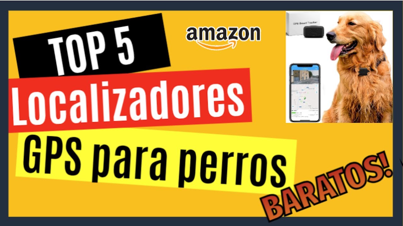 🔵¿El mejor GPS para perros del mercado? TE LO CUENTO TODO - GPS Tractive  🐾 