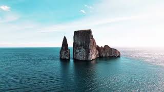 This Is Galápagos