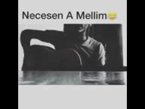 necesen a muellim