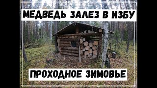 видео: Медведь залез в избу. картинка: Медведь залез в избу.