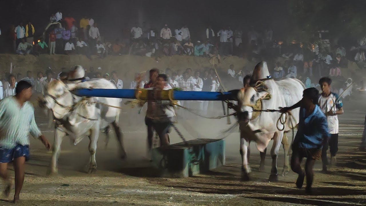 2026-తలారిచెరువు.సీనియర్స్.8వ జత.M.నాగయ్య గారు PRపల్లి గ్రామం ప్యాపిలి మండలం నంద్యాల జిల్లా 