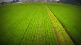 F550 TEST 20130712 2