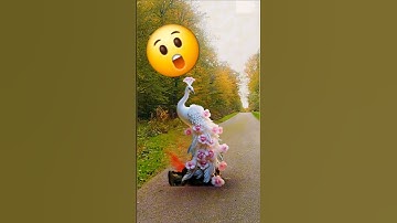 The Most VIRAL YouTube Shorts (Part-2) 82 #trending #shorts ##ytshorts #yoitubeshorts #tiktok #magic