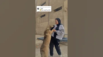 والنبي لتجيب جنية 