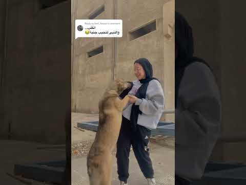 والنبي لتجيب جنية