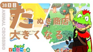 【38日目】たぬき商店大きくなる【川鰐グラムのあつまれどうぶつの森実況】（あつ森・ポケ森）