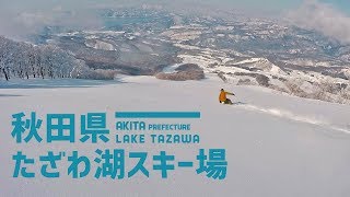 秋田駒ケ岳の大きなうねりの中にあるゲレンデ / たざわ湖スキー場