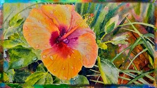 watercolor hibiscus orange flower paint flowers painting paintings watercolour floral watercolors