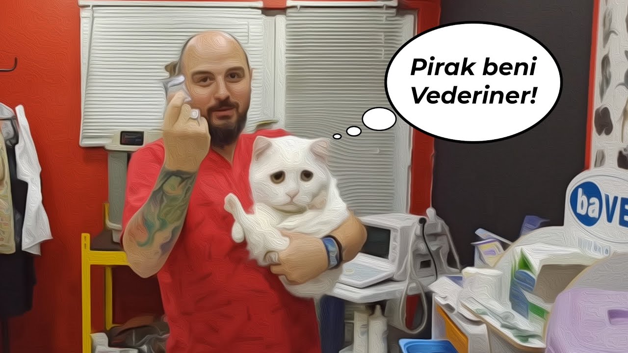 Kedilere Nasil Parazit Tedavisi Uygulanir Nasil Surup Icirilir Soru Cevap Vederinerbey Youtube