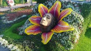 Dubai Miracle Garden  حديقة دبي المعجزة - أجمل اخراج