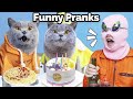 Best pranks to relieve your stress  oscars funny world  new funnys 2024