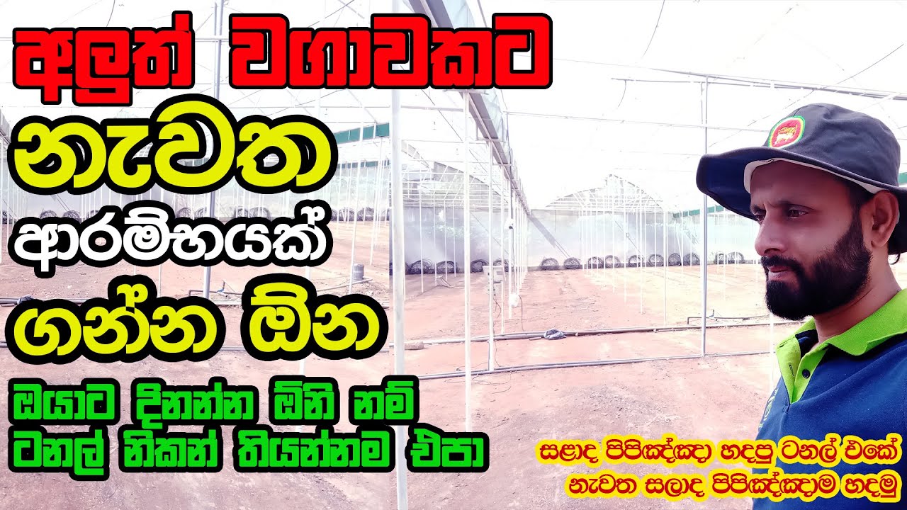 ඔයාගේ ටනල් එකත් වල් වැදිලද නිකන් තියන ටනල් වලින් හරි වැඩක් ගමුBeast