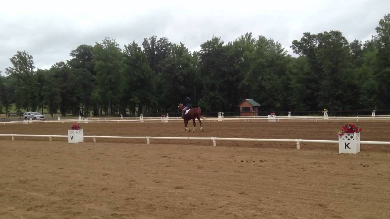 Otter Creek Dressage Fest YouTube