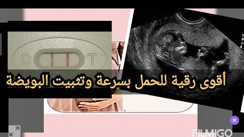لكل من تأخر حملها أقوى رقية شرعية للحمل بسرعة وتثبيت البويضة