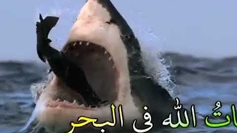 تلاوة وترتيل في قمة الجمال - ماتيسر من سورة النحل | عبدالباسط عبدالصمد