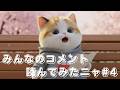 みんなのコメント読んでみたニャ#４😽🐾