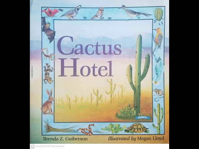 peruvian apple cactus Peruvian Apple Cactus