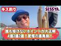 【キス釣り】誰も投げないポイントが大正解!4連3連3連!驚愕の連発劇!