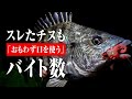 【チニング】スレチヌがおもわず口を使う！ 〜食わせの軽量ジグヘッドでハイプレッシャーエリア攻略〜 / 一宮安幸