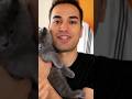 Un HATER HA RAPITO il GATTO DI BELLAFACCIA!😭 #giox97 #bellafaccia #shorts #minecraft #fortnite #ps5