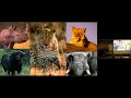 Marsabit Kenya S Hidden Treasure 